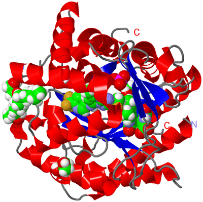 Image Asym./Biol. Unit