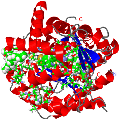 Image Asym./Biol. Unit - sites