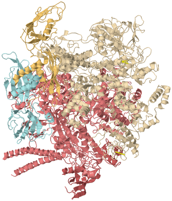 Image Biological Unit 2