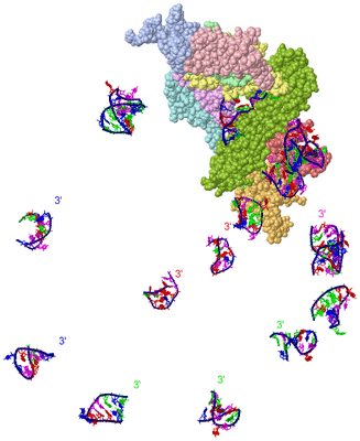 Image Asym./Biol. Unit