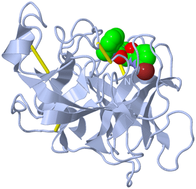 Image Biological Unit 1