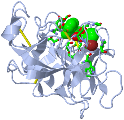 Image Biol. Unit 1 - sites