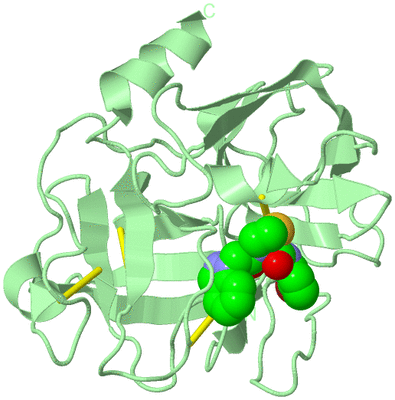 Image Biological Unit 2