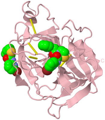 Image Biological Unit 3