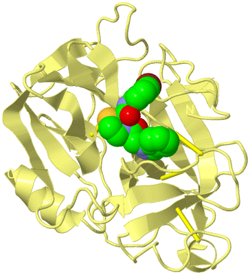 Image Biological Unit 4