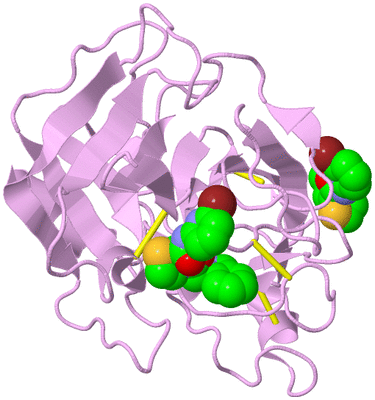 Image Biological Unit 5