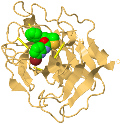 Image Biological Unit 7