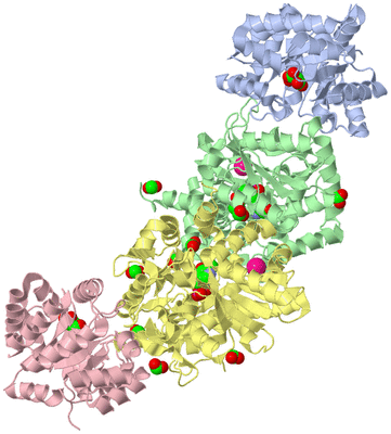 Image Biological Unit 1