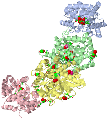 Image Biol. Unit 1 - sites