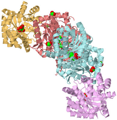 Image Biological Unit 2