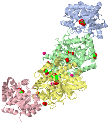 Image Biological Unit 1