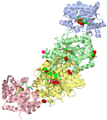 Image Biol. Unit 1 - sites