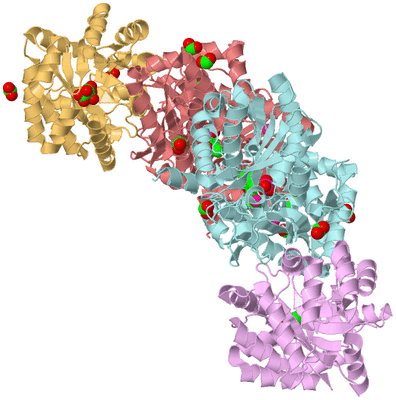 Image Biological Unit 2