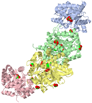 Image Biological Unit 1