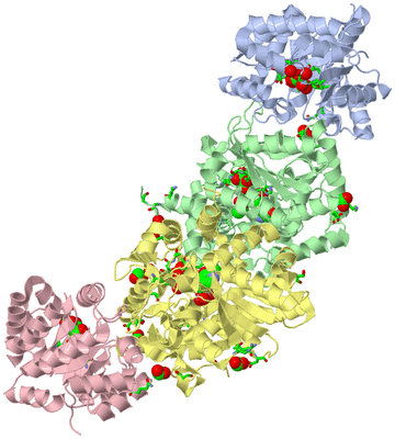 Image Biol. Unit 1 - sites