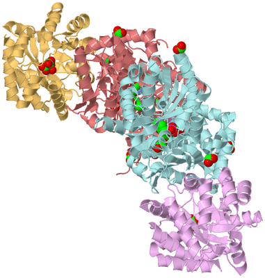 Image Biological Unit 2