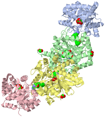 Image Biological Unit 1