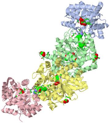 Image Biol. Unit 1 - sites