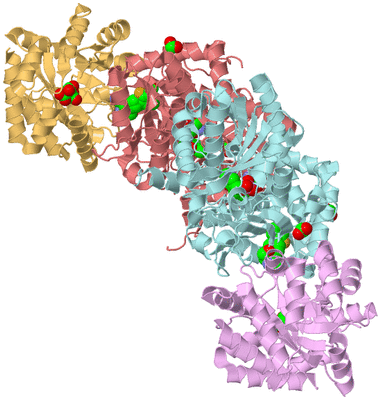 Image Biological Unit 2