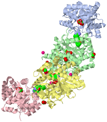 Image Biological Unit 1