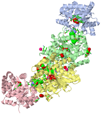 Image Biol. Unit 1 - sites