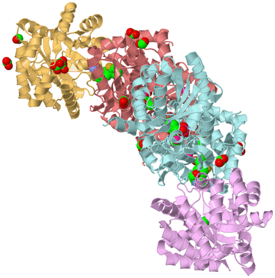 Image Biological Unit 2