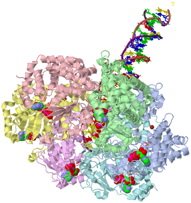 Image Asym./Biol. Unit