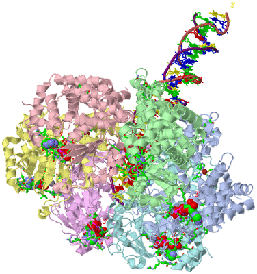 Image Asym./Biol. Unit - sites