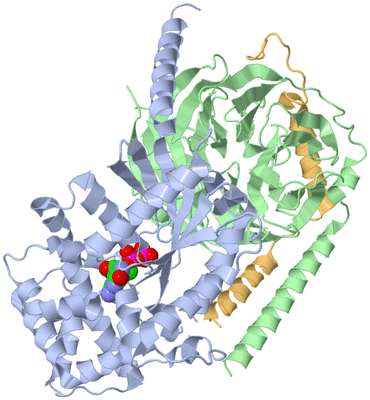 Image Biological Unit 1