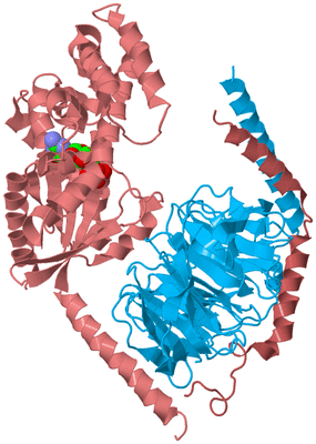 Image Biological Unit 2