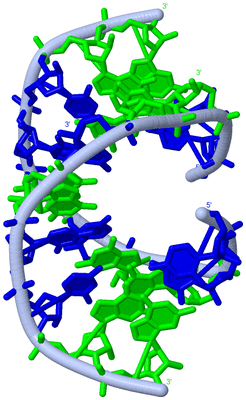 Image Biological Unit 1