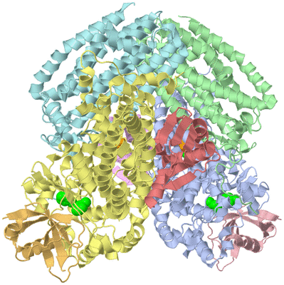 Image Asym./Biol. Unit