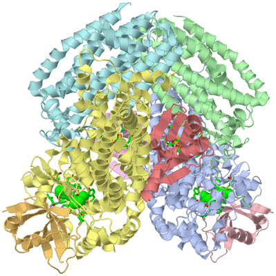 Image Asym./Biol. Unit - sites