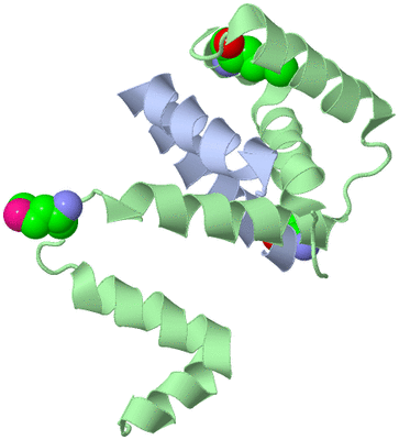 Image Biological Unit 1