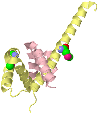 Image Biological Unit 2