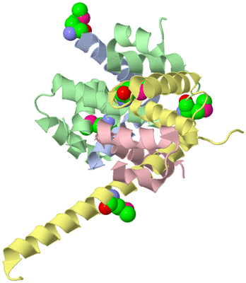 Image Biological Unit 3