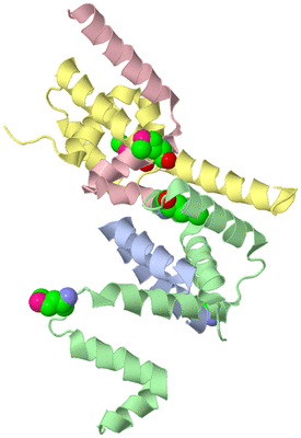 Image Biological Unit 4