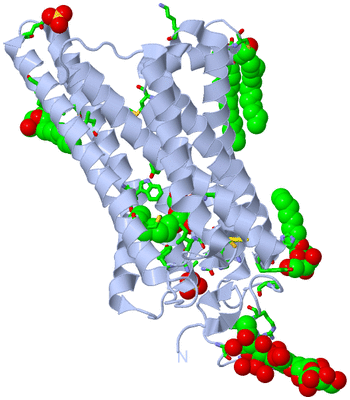 Image Biol. Unit 1 - sites