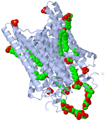 Image Biological Unit 2