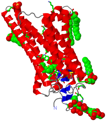 Image Asym. Unit - sites