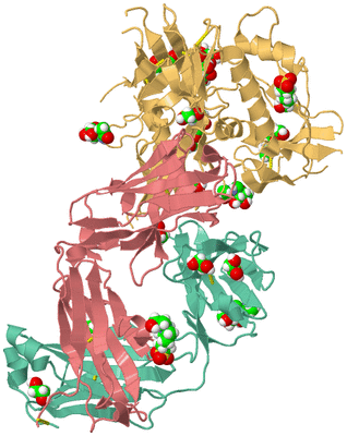 Image Asym./Biol. Unit