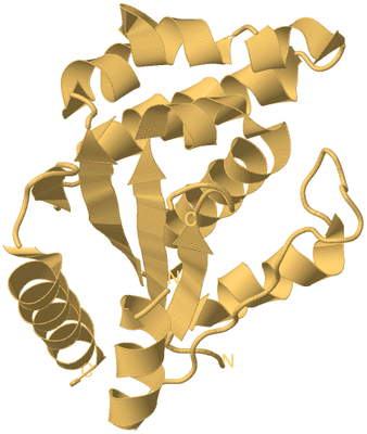 Image Biological Unit 7