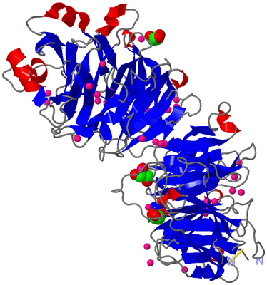 Image Asym./Biol. Unit