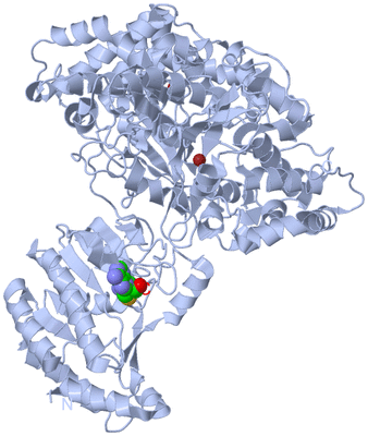 Image Biological Unit 1