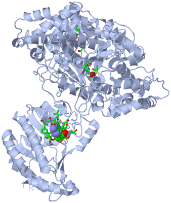 Image Biol. Unit 1 - sites