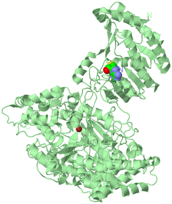 Image Biological Unit 2