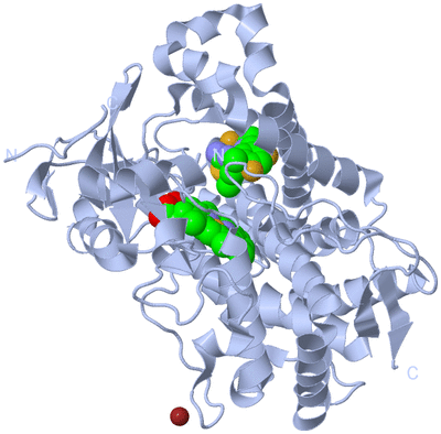 Image Biological Unit 1