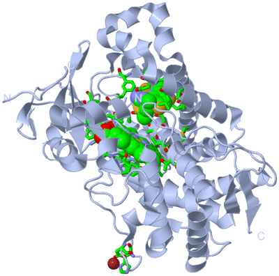 Image Biol. Unit 1 - sites