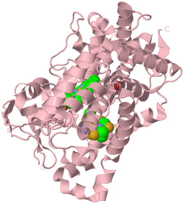 Image Biological Unit 3