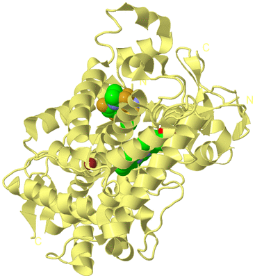 Image Biological Unit 4